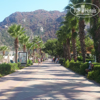 фото из отзыва ID 2218716