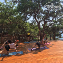 фото из отзыва ID 2218744