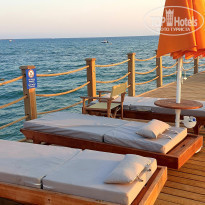 фото из отзыва ID 2218777