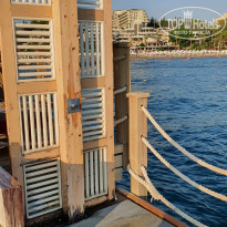 фото из отзыва ID 2218777