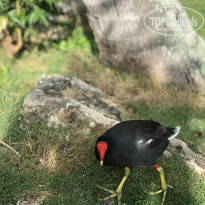 фото из отзыва ID 2218804