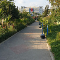 фото из отзыва ID 2218893