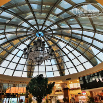 фото из отзыва ID 2218907