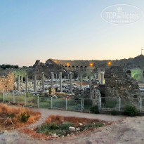 фото из отзыва ID 2218907