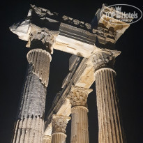 фото из отзыва ID 2218907