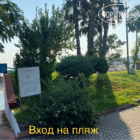 фото из отзыва ID 2218952