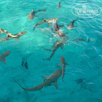 фото из отзыва ID 2218964