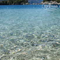 фото из отзыва ID 2219030