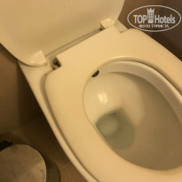 фото из отзыва ID 2213357