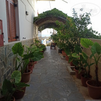 фото из отзыва ID 2219051