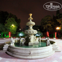 фото из отзыва ID 2219055