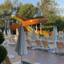 фото из отзыва ID 2219108