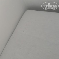 фото из отзыва ID 2219157