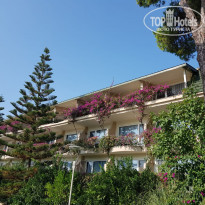 фото из отзыва ID 2219161