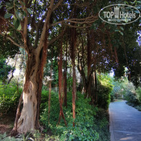 фото из отзыва ID 2219165