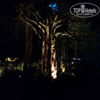 фото из отзыва ID 2219165