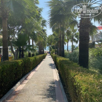 фото из отзыва ID 2219206