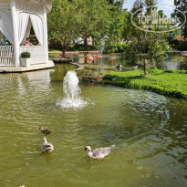 фото из отзыва ID 2219222