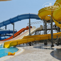 фото из отзыва ID 2219291