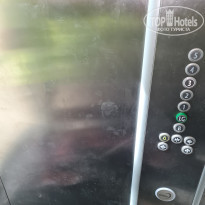 фото из отзыва ID 2219291