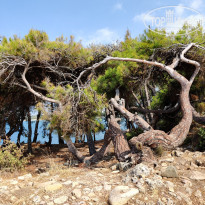 фото из отзыва ID 2219145