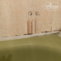 фото из отзыва ID 2219367