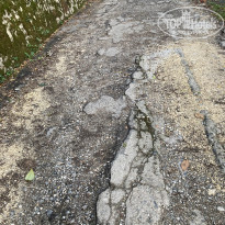 фото из отзыва ID 2219367