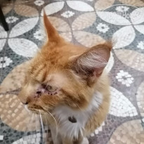 фото из отзыва ID 2219295