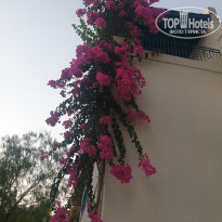 фото из отзыва ID 2219549