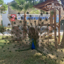 фото из отзыва ID 2219557