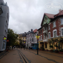 фото из отзыва ID 2219570