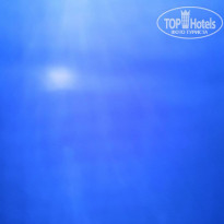 фото из отзыва ID 2219678