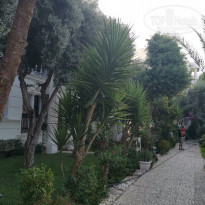 фото из отзыва ID 2219771