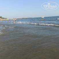 фото из отзыва ID 2219763