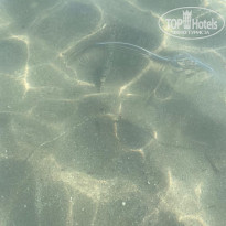 фото из отзыва ID 2219830