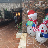 фото из отзыва ID 2219398