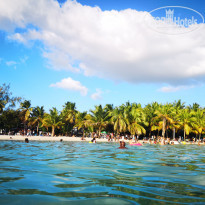 фото из отзыва ID 2219398