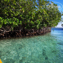 фото из отзыва ID 2219398