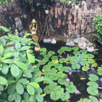 фото из отзыва ID 2219949