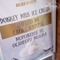 фото из отзыва ID 2218692