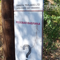 фото из отзыва ID 2218692