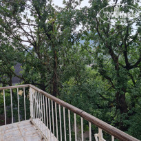 фото из отзыва ID 2217868