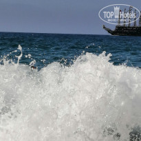 фото из отзыва ID 2218476