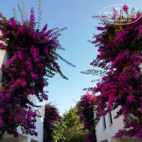 фото из отзыва ID 2212312