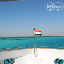 фото из отзыва ID 2214899