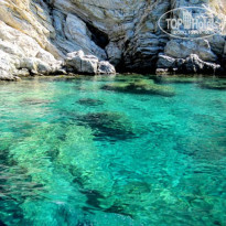 фото из отзыва ID 222710