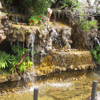 фото из отзыва ID 222967