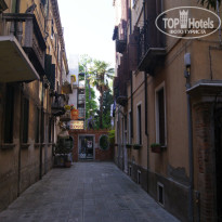 фото из отзыва ID 2220139