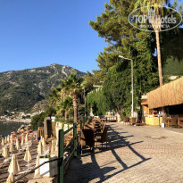 фото из отзыва ID 2220241