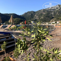 фото из отзыва ID 2220241